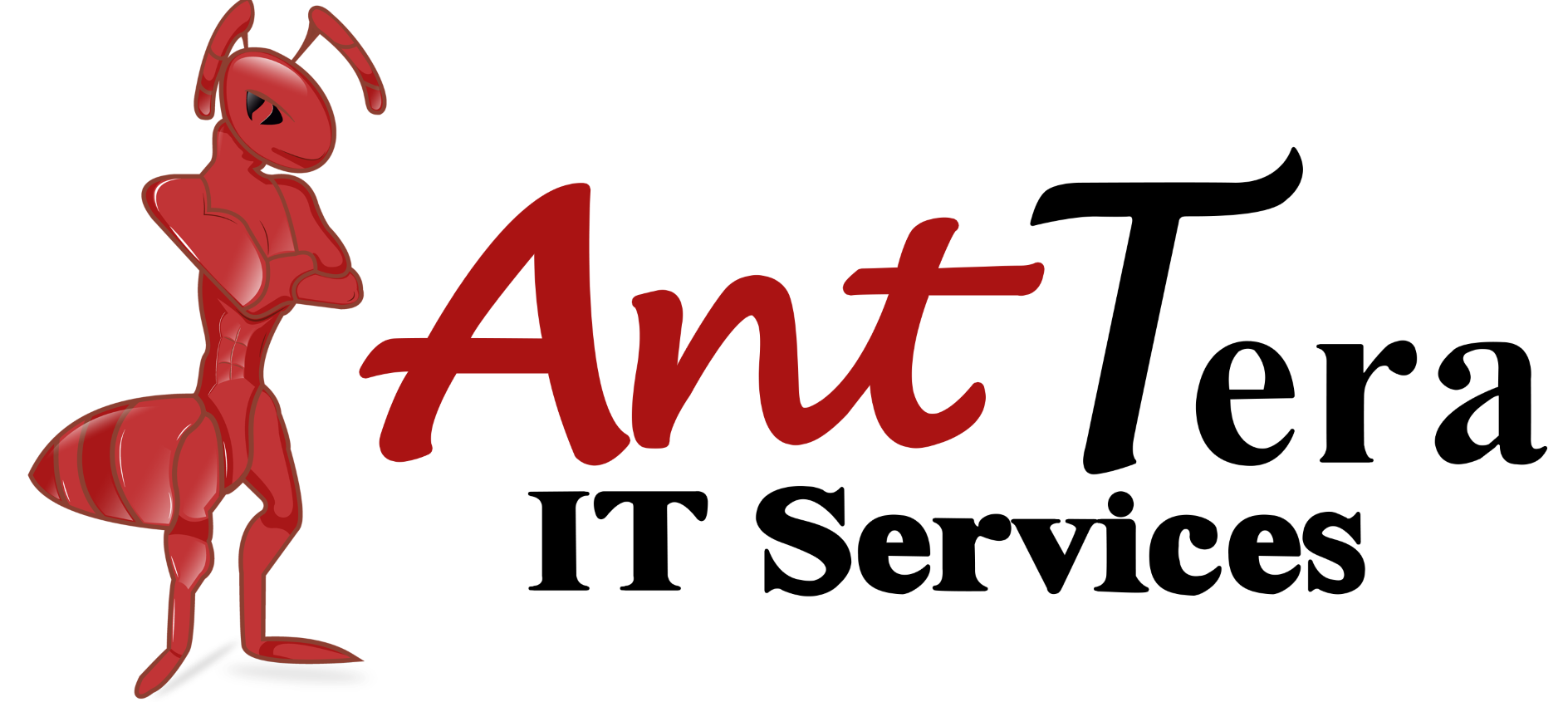 Ant Tera IT Services
